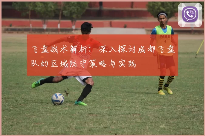 飞盘战术解析：深入探讨成都飞盘队的区域防守策略与实践