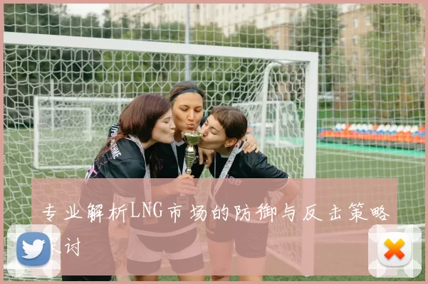 专业解析LNG市场的防御与反击策略探讨