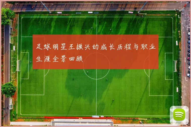 足球明星王振兴的成长历程与职业生涯全景回顾