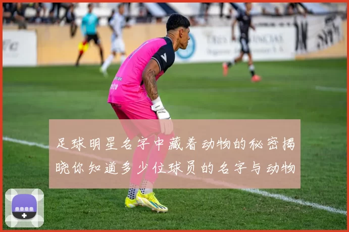 足球明星名字中藏着动物的秘密揭晓你知道多少位球员的名字与动物有关吗