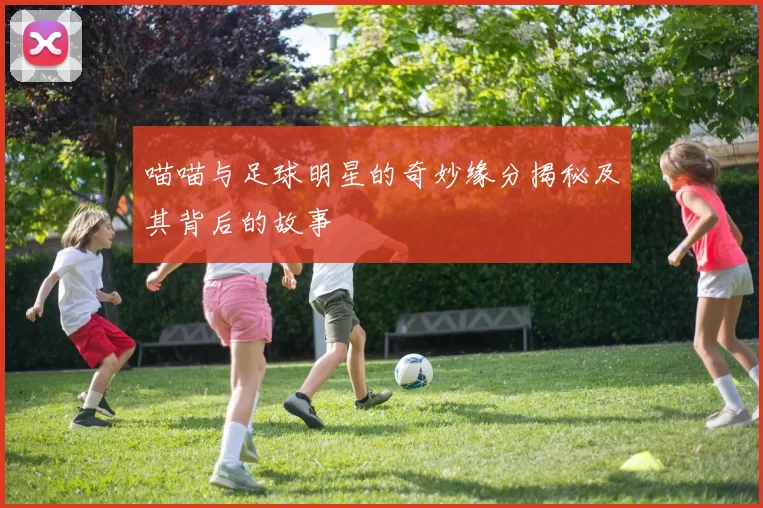 喵喵与足球明星的奇妙缘分揭秘及其背后的故事