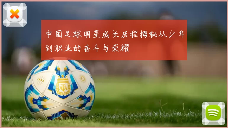 中国足球明星成长历程揭秘从少年到职业的奋斗与荣耀