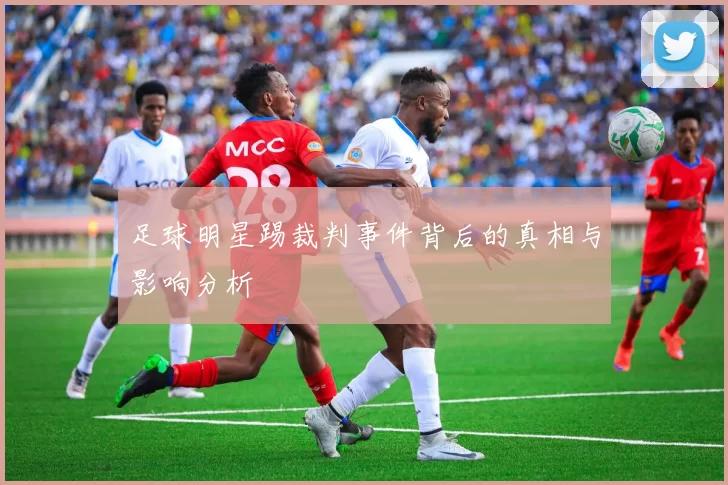 足球明星踢裁判事件背后的真相与影响分析