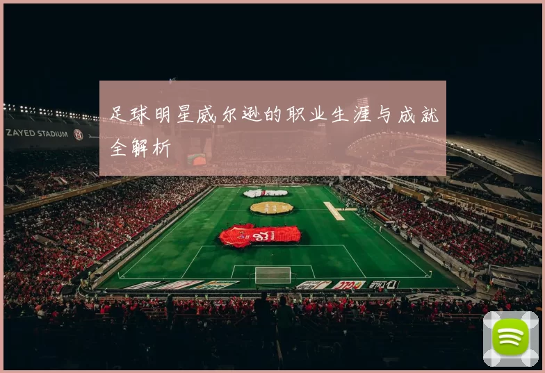 足球明星威尔逊的职业生涯与成就全解析