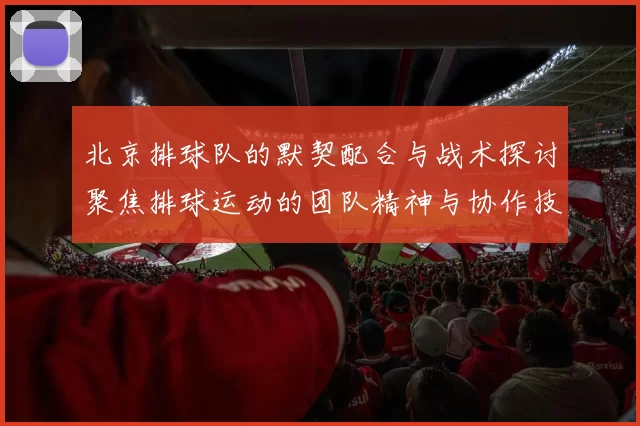北京排球队的默契配合与战术探讨聚焦排球运动的团队精神与协作技巧