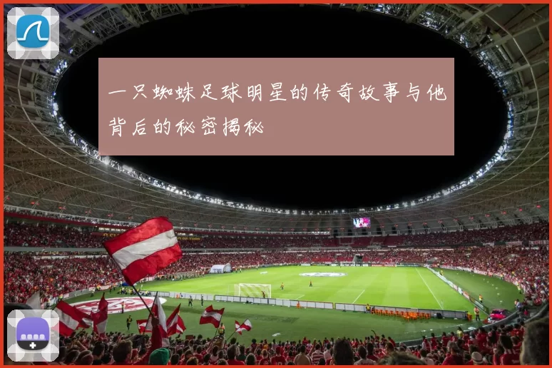 一只蜘蛛足球明星的传奇故事与他背后的秘密揭秘