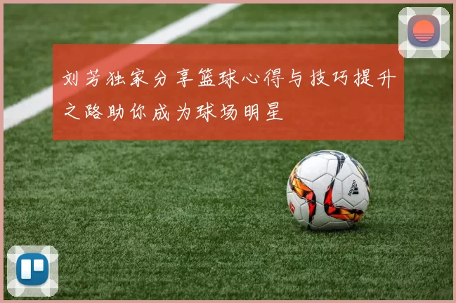刘芳独家分享篮球心得与技巧提升之路助你成为球场明星