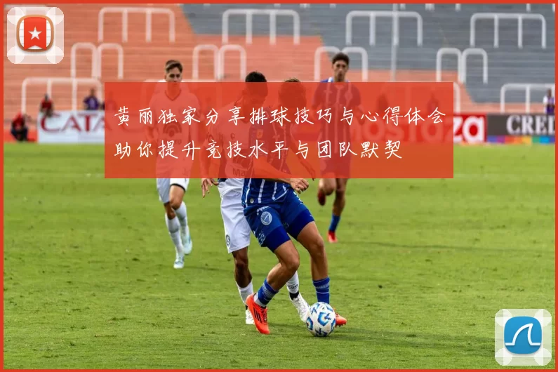 黄丽独家分享排球技巧与心得体会助你提升竞技水平与团队默契