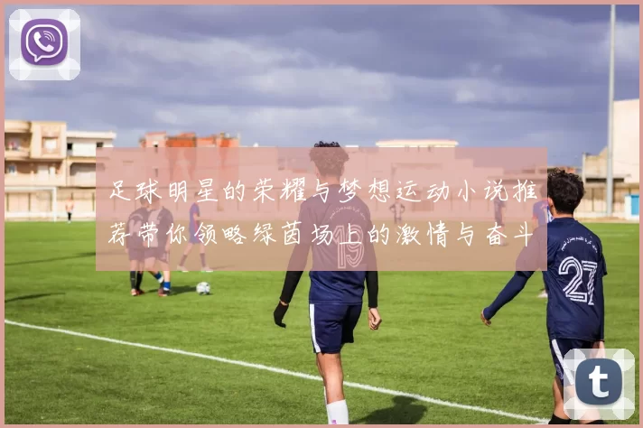 足球明星的荣耀与梦想运动小说推荐带你领略绿茵场上的激情与奋斗