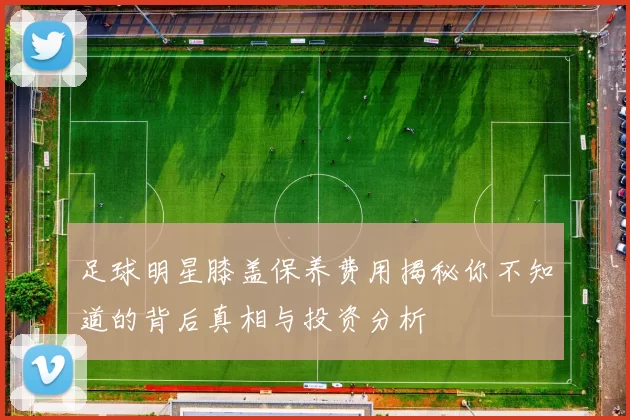 足球明星膝盖保养费用揭秘你不知道的背后真相与投资分析