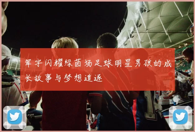 军字闪耀绿茵场足球明星男孩的成长故事与梦想追逐