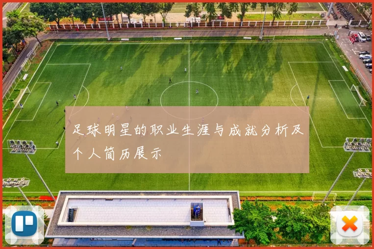 足球明星的职业生涯与成就分析及个人简历展示
