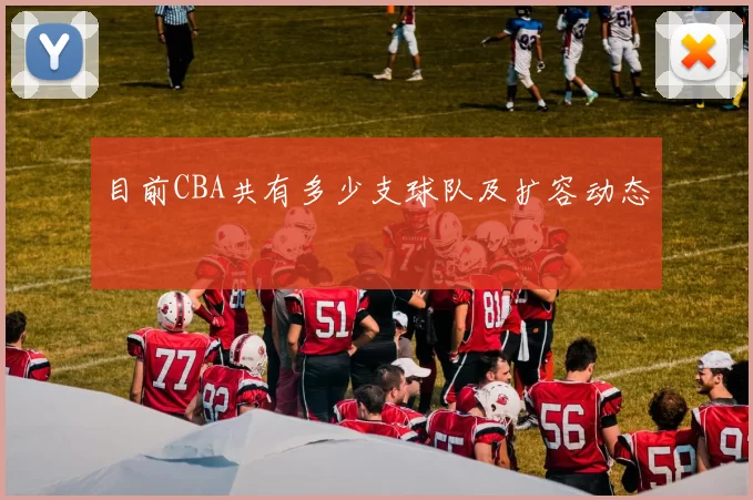 目前CBA共有多少支球队及扩容动态