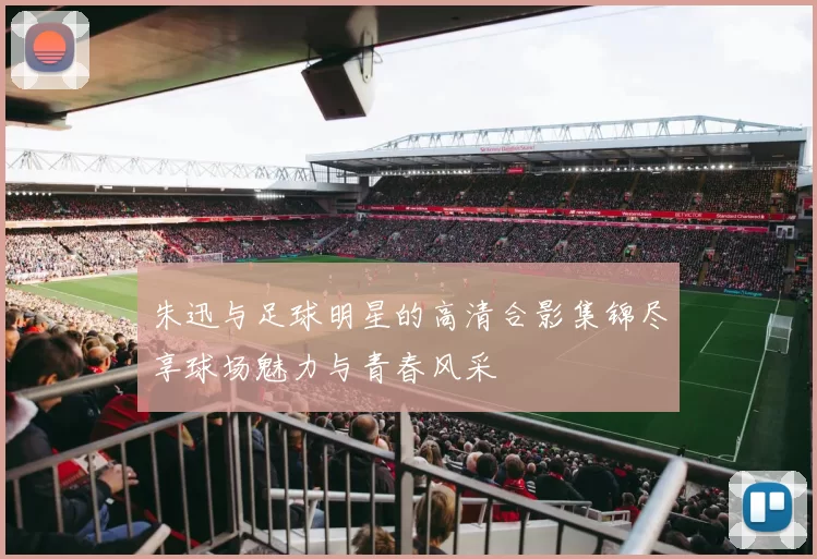朱迅与足球明星的高清合影集锦尽享球场魅力与青春风采