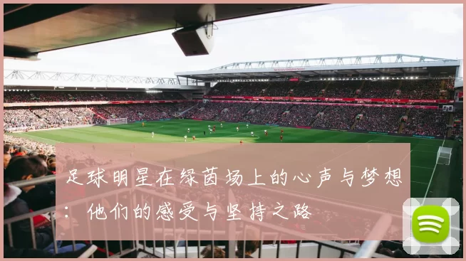 足球明星在绿茵场上的心声与梦想：他们的感受与坚持之路