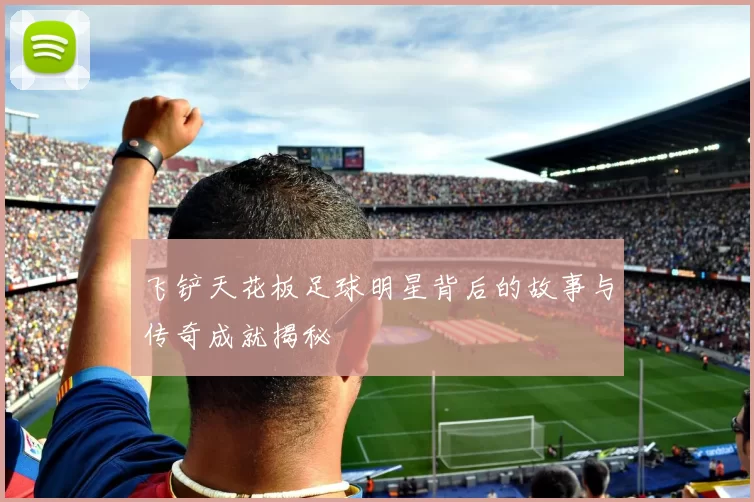 飞铲天花板足球明星背后的故事与传奇成就揭秘