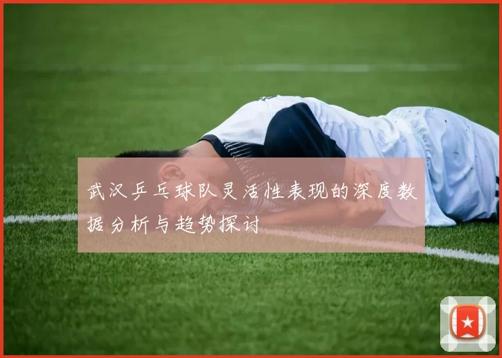 武汉乒乓球队灵活性表现的深度数据分析与趋势探讨
