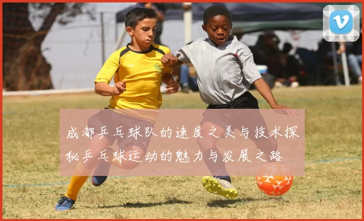 成都乒乓球队的速度之美与技术探秘乒乓球运动的魅力与发展之路