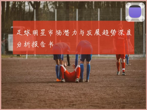 足球明星市场潜力与发展趋势深度分析报告书