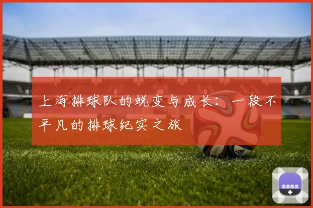 上海排球队的蜕变与成长：一段不平凡的排球纪实之旅