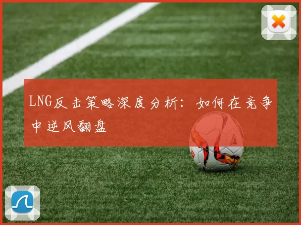 LNG反击策略深度分析：如何在竞争中逆风翻盘