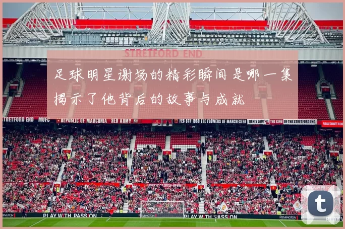 足球明星谢场的精彩瞬间是哪一集揭示了他背后的故事与成就