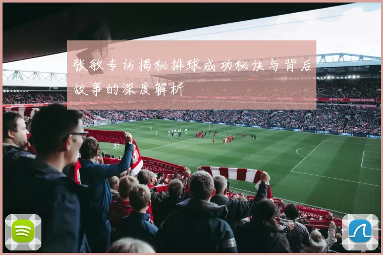 张敏专访揭秘排球成功秘诀与背后故事的深度解析