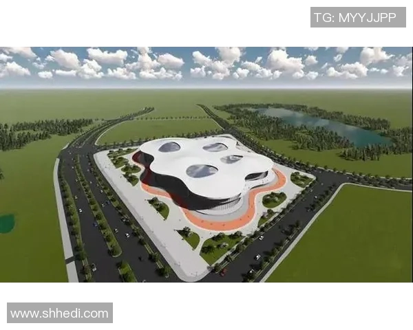 南京极限运动队的管理模式与发展趋势深度解析