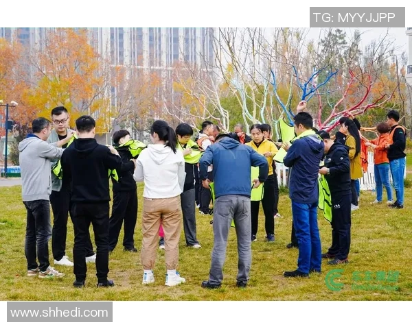 飞盘竞技的魅力与智慧：深入解析西安飞盘队的战术布局与团队协作