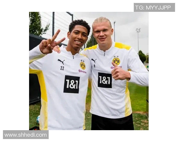 最新德甲晋级球队排名及本赛季竞争态势分析