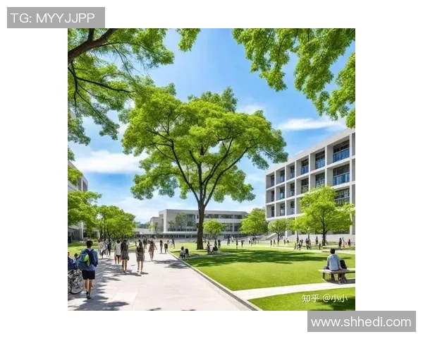 南京排球队中路突破分析:优势与不足的全面探讨