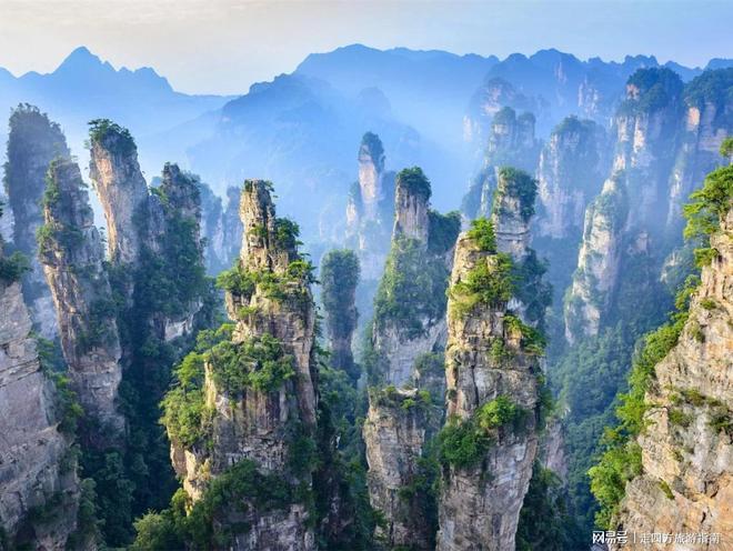 户外运动张家界五日游攻略：暑假带娃玩耍当地人保举张家界丛林公园(图3)