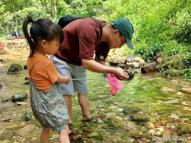户外运动张家界五日游攻略：暑假带娃玩耍当地人保举张家界丛林公园(图5)